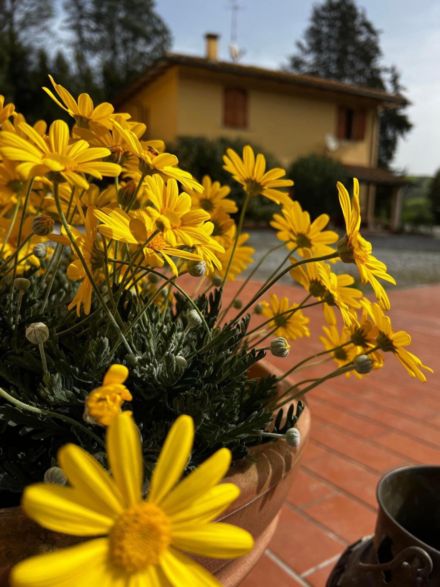 Agriturismo La Cerbana Palaia Exterior foto